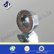China Supplier Serrated Flange Nut in High Quality
